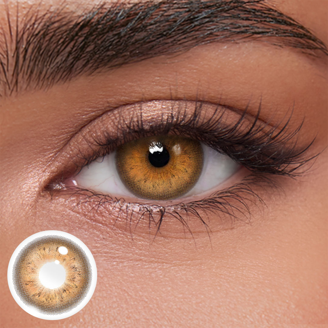 Akiwaii Irone Brown [Yearly]