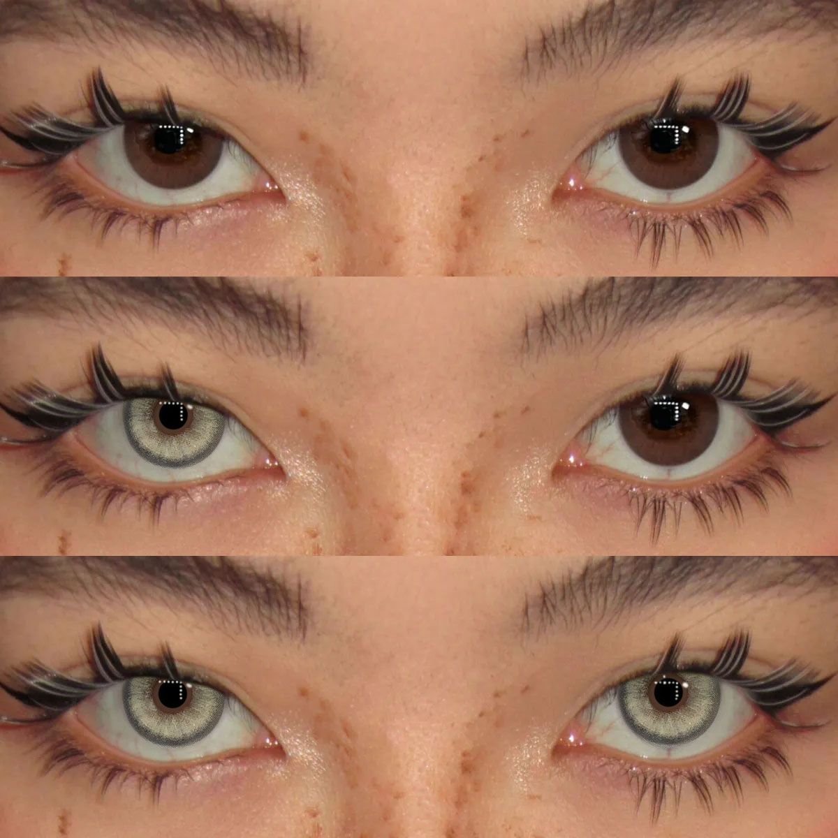 Akiwaii Peko Brown [Yearly]