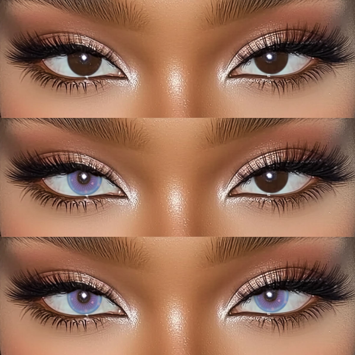 Akiwaii Meloria Purple [Yearly]