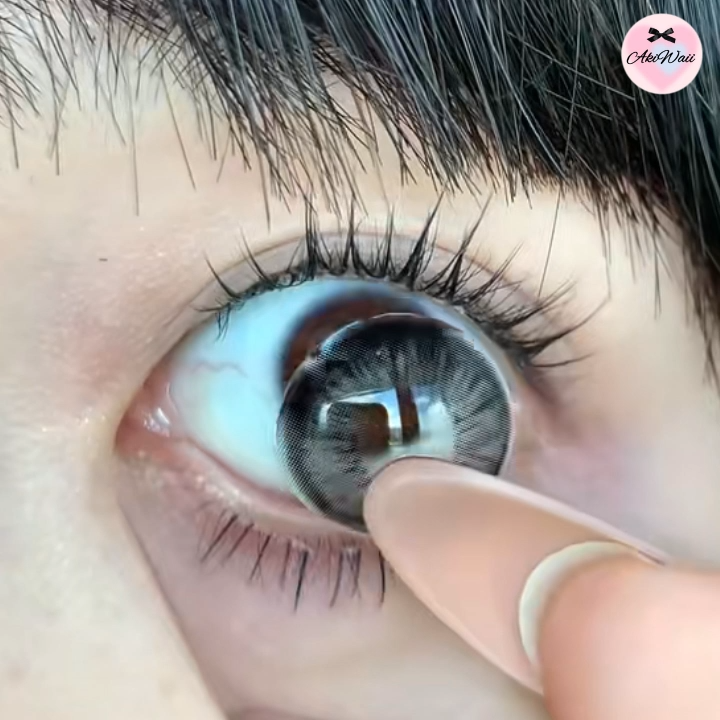 Akiwaii Veloria Black [Yearly]