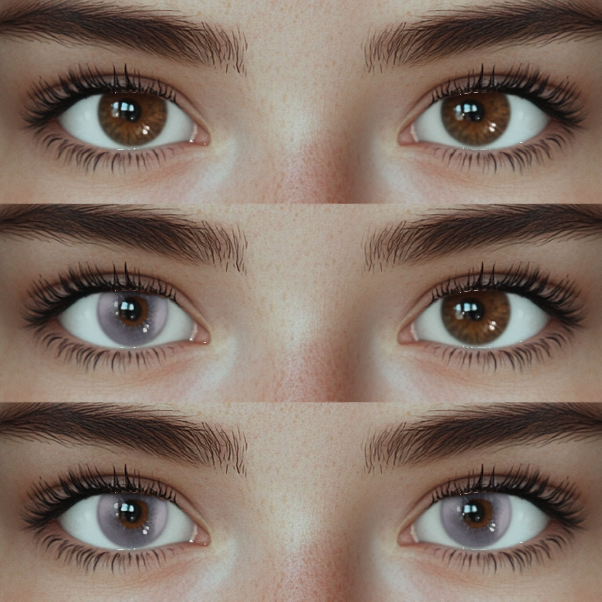 Akiwaii Lavone Purple[Yearly]