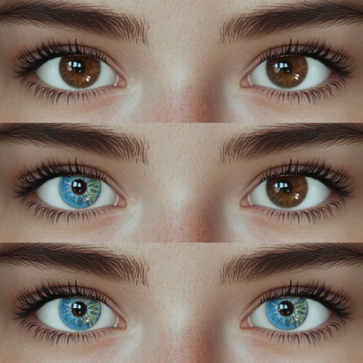 Akiwaii Orbit Blue[Yearly]