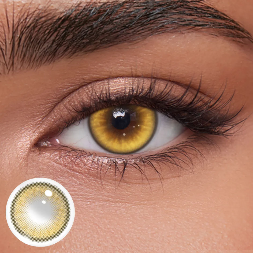 Akiwaii Frostis Brown[Monthly]