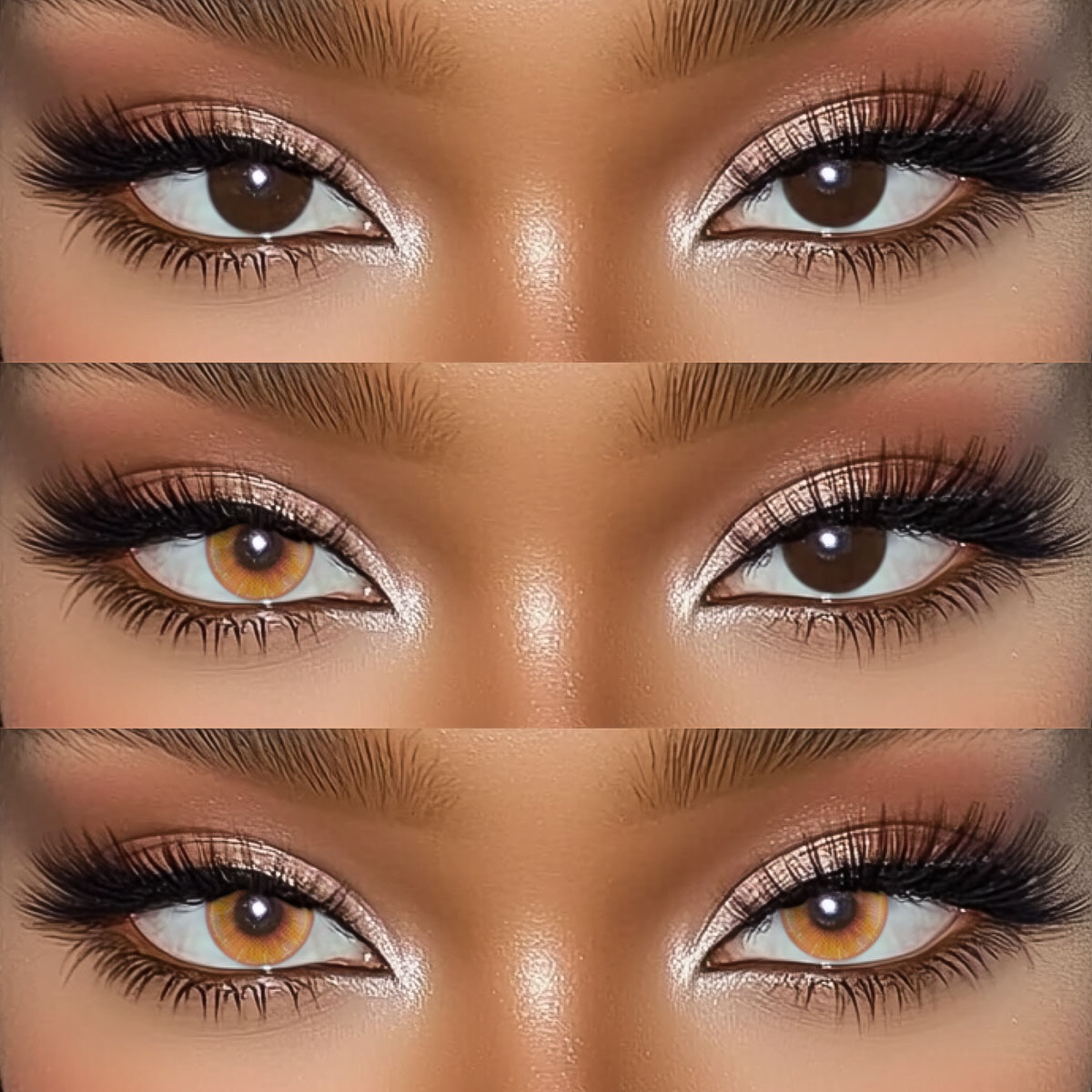 Akiwaii Limora Brown[Yearly]