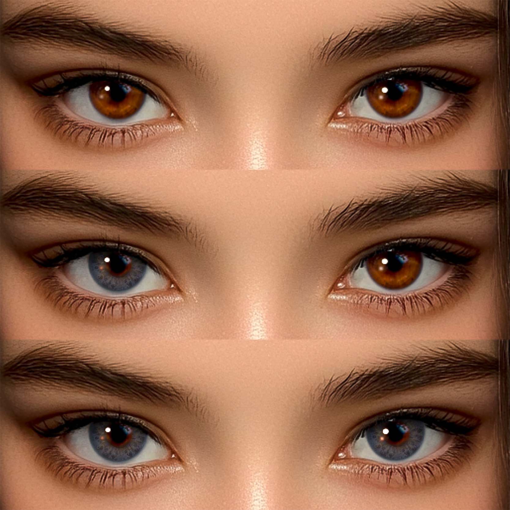 Akiwaii DNA Taylor Purple [Yearly]