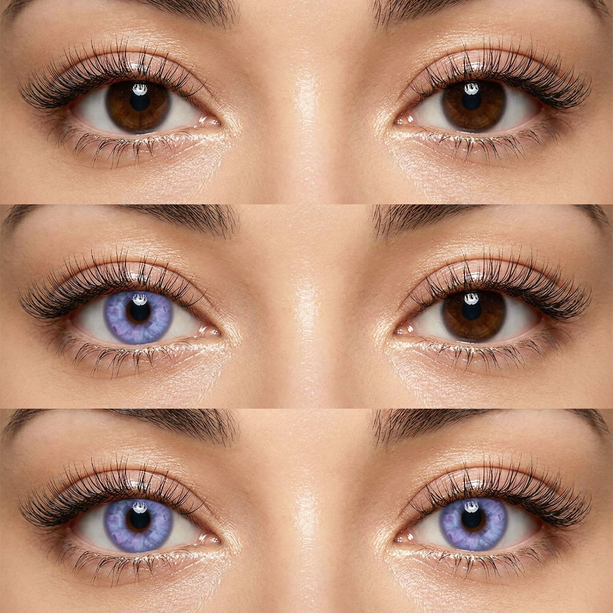 Akiwaii Instellar Violet [Daily]