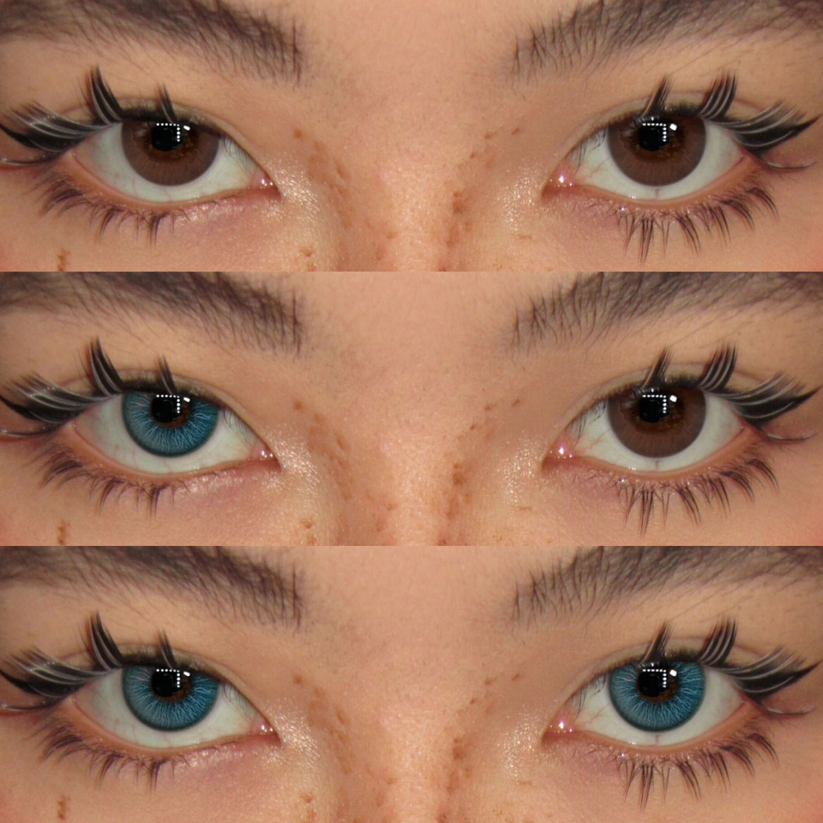 Akiwaii Electro Blue [Yearly]