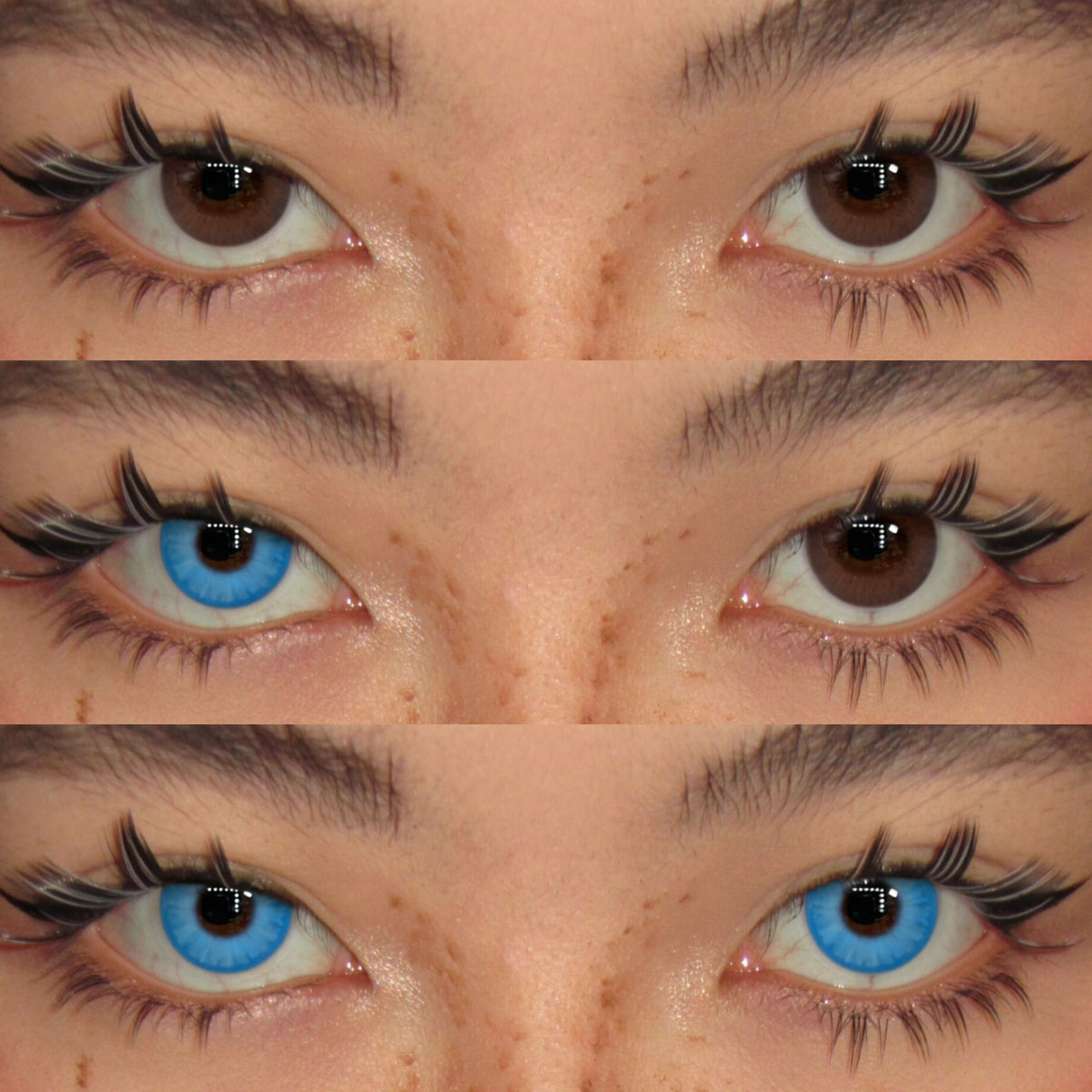 Akiwaii Serenia Blue[Yearly]