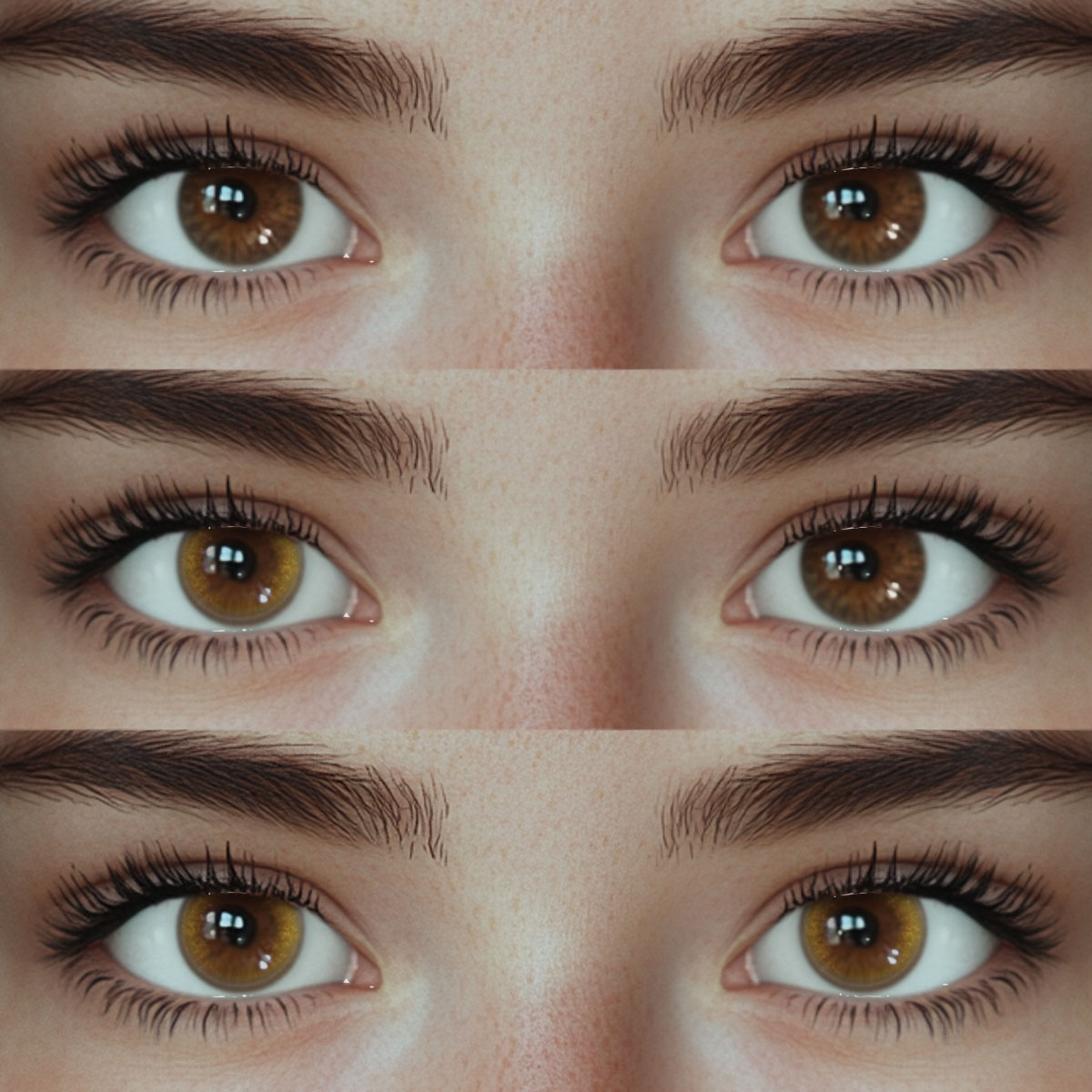 Akiwaii Frostis Brown[Yearly]