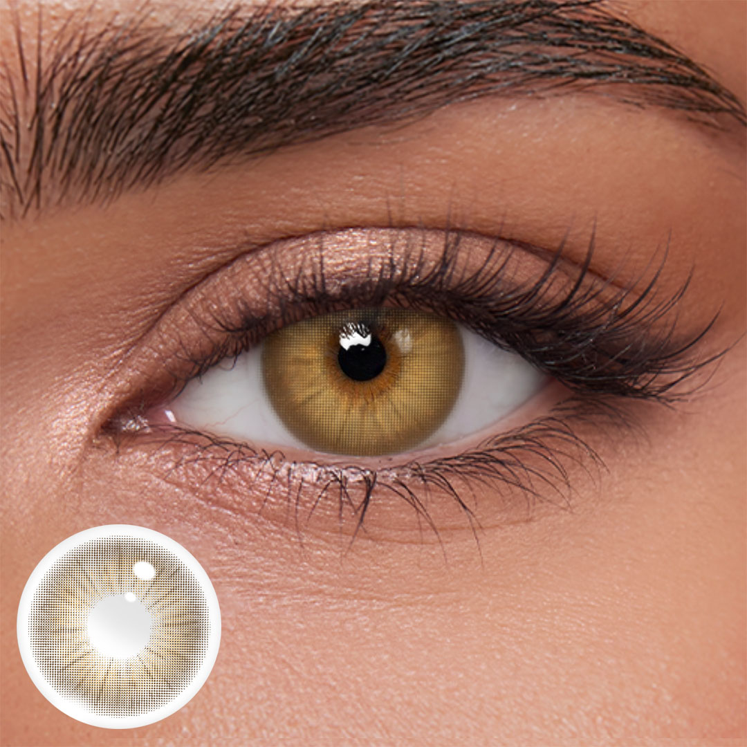 Akiwaii Rome Times Brown [Yearly]