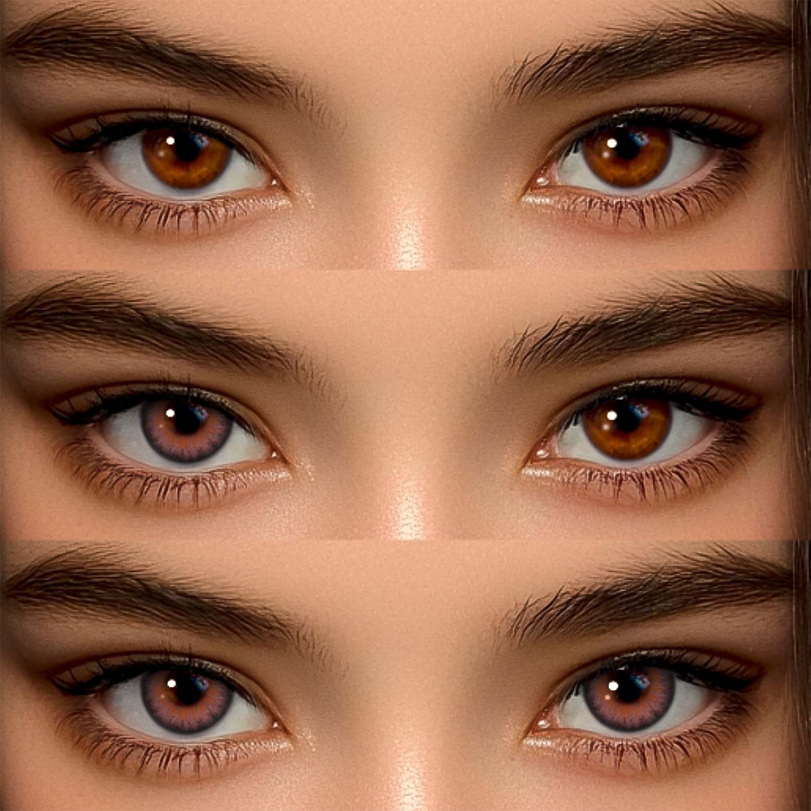 Akiwaii New 3-Tone Hazel Brown [Yearly]