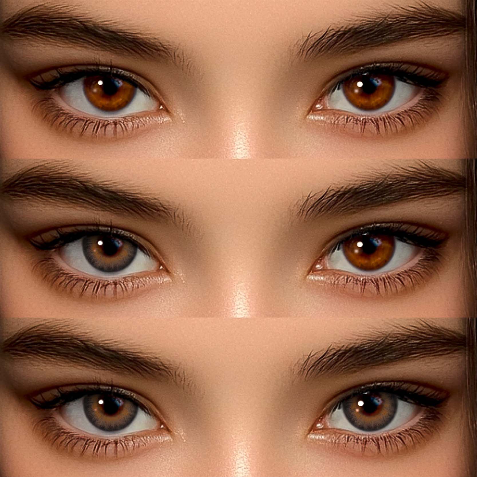 Akiwaii New 3-Tone HONEY Brown [Yearly]