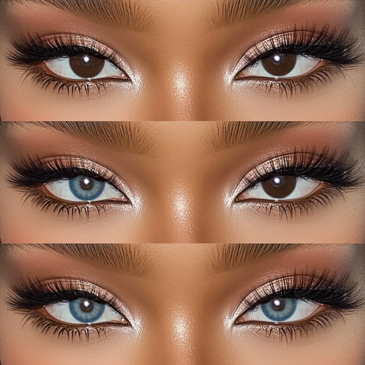 Akiwaii Amazonia Antarctic Blue [Yearly]