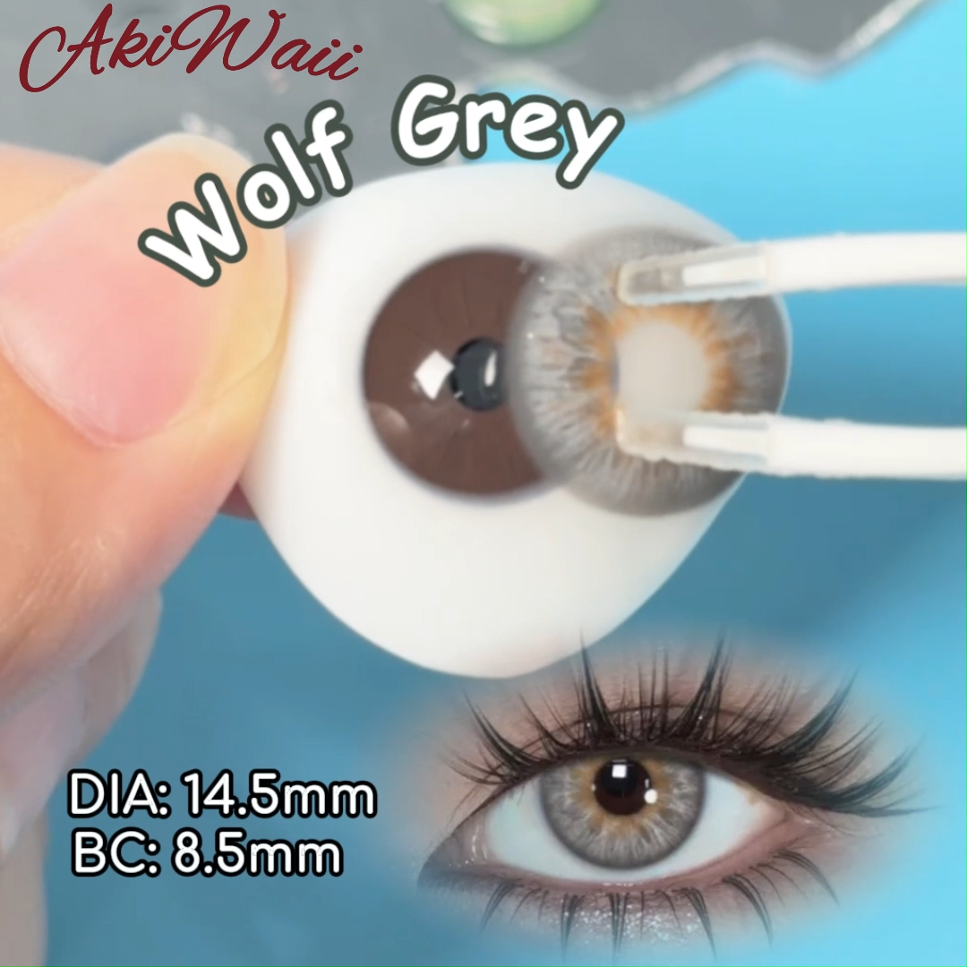 Akiwaii Wolf Gray [Yearly]