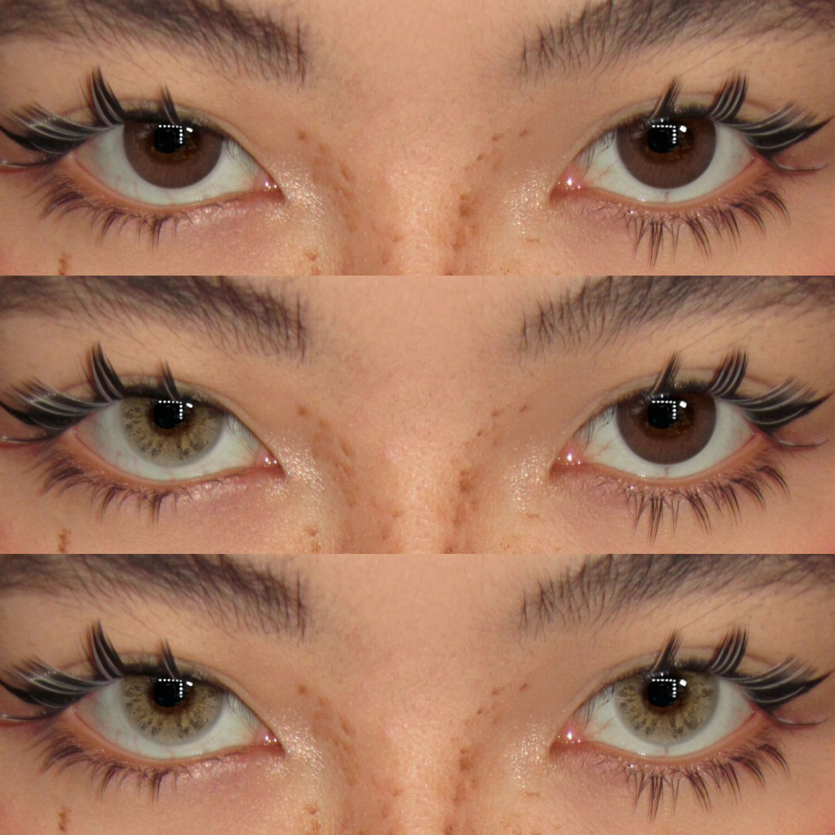 Akiwaii DNA Taylor Brown [Yearly]