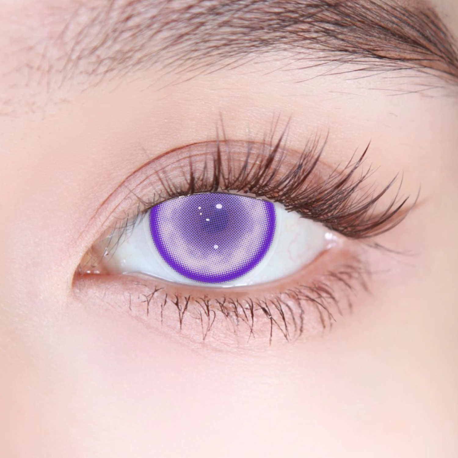 Akiwaii Paradise Violet [Monthly]