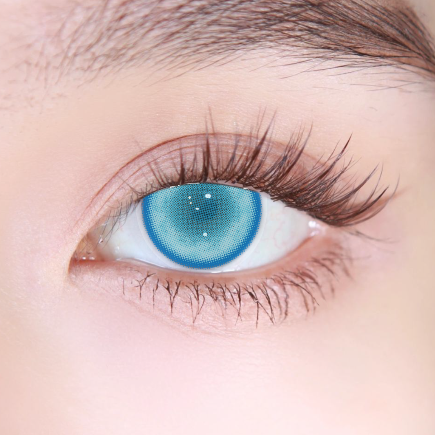 Akiwaii Paradise Blue [Yearly]