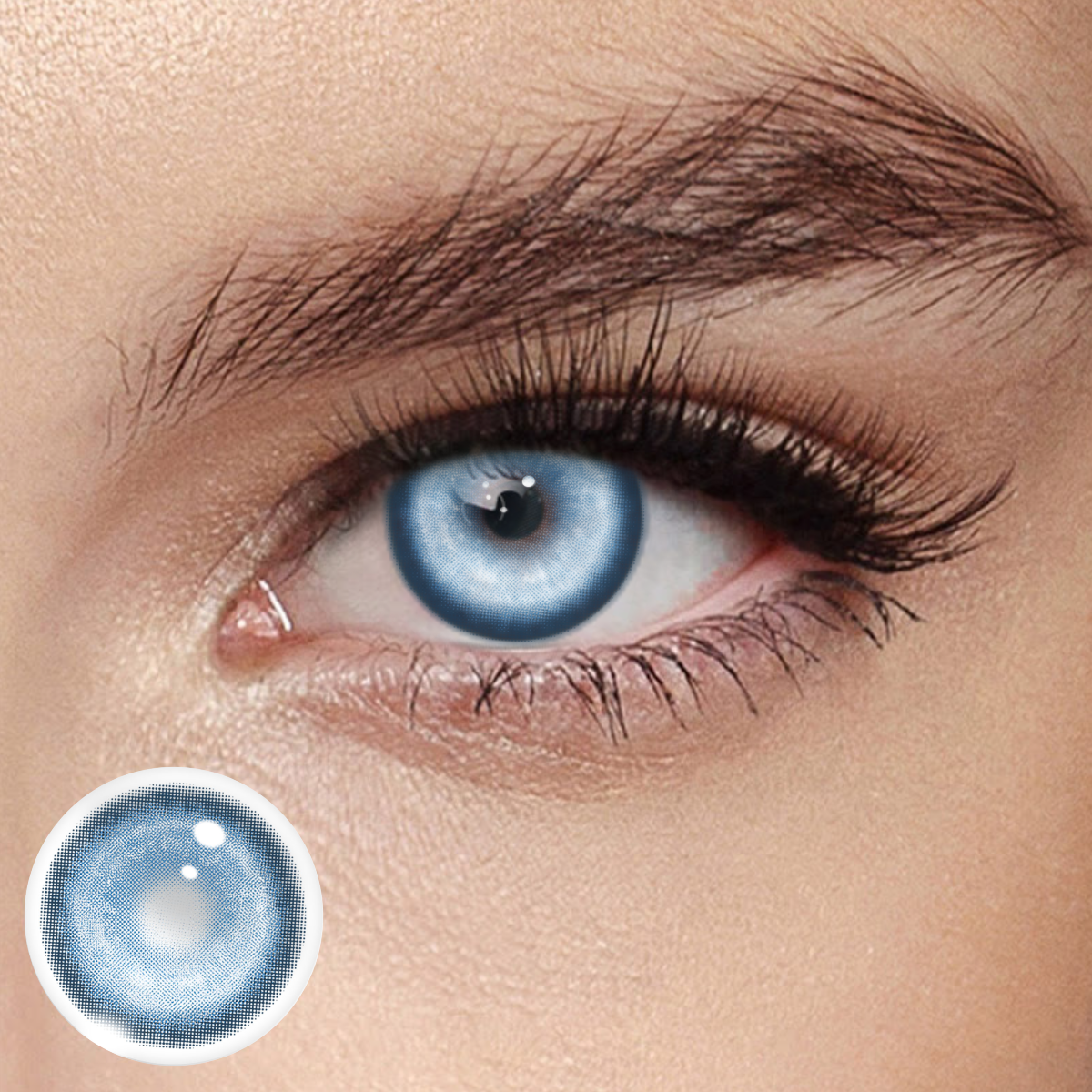 Akiwaii Koi Blue [Daily]