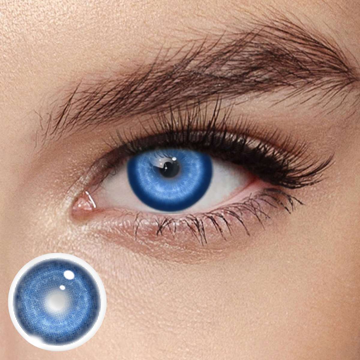 Akiwaii Koi Dark Blue [Yearly]