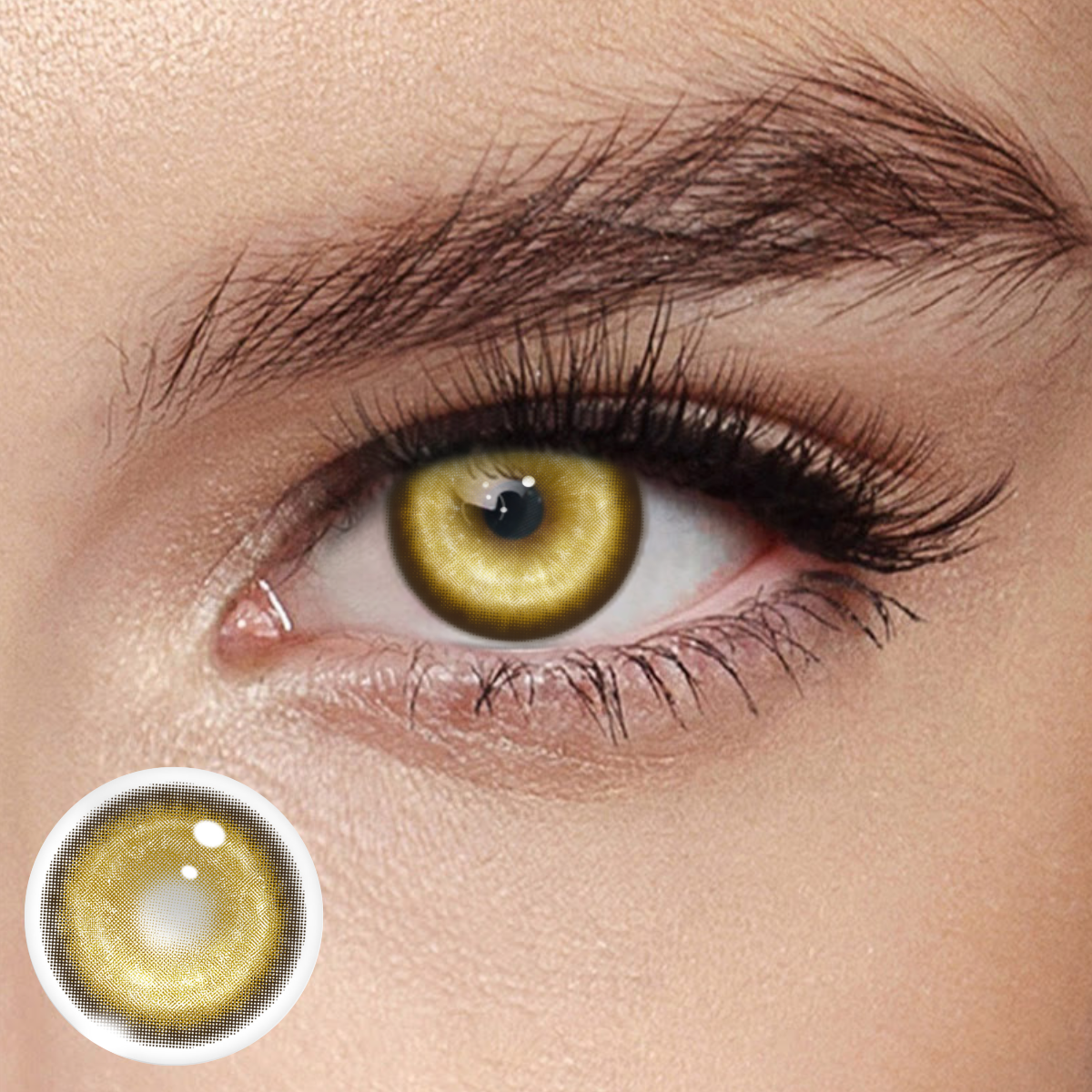 Akiwaii Koi Brown [Yearly]