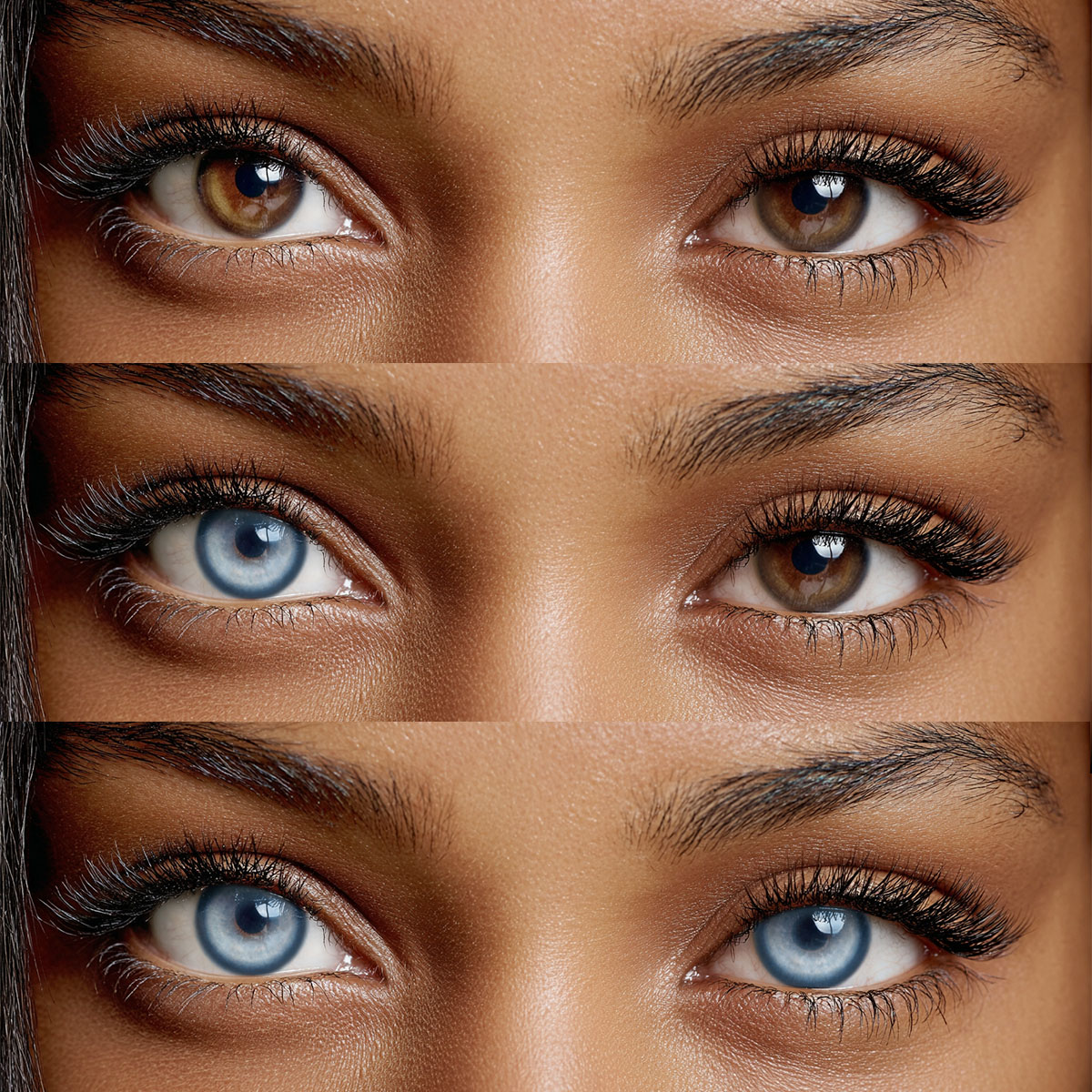 Akiwaii Koi Blue [Daily]