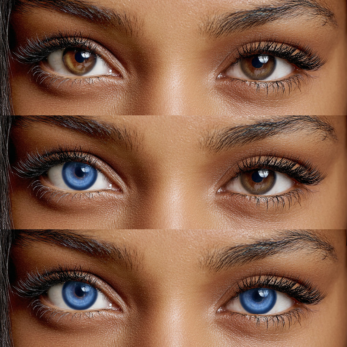 Akiwaii Koi Dark Blue [Yearly]