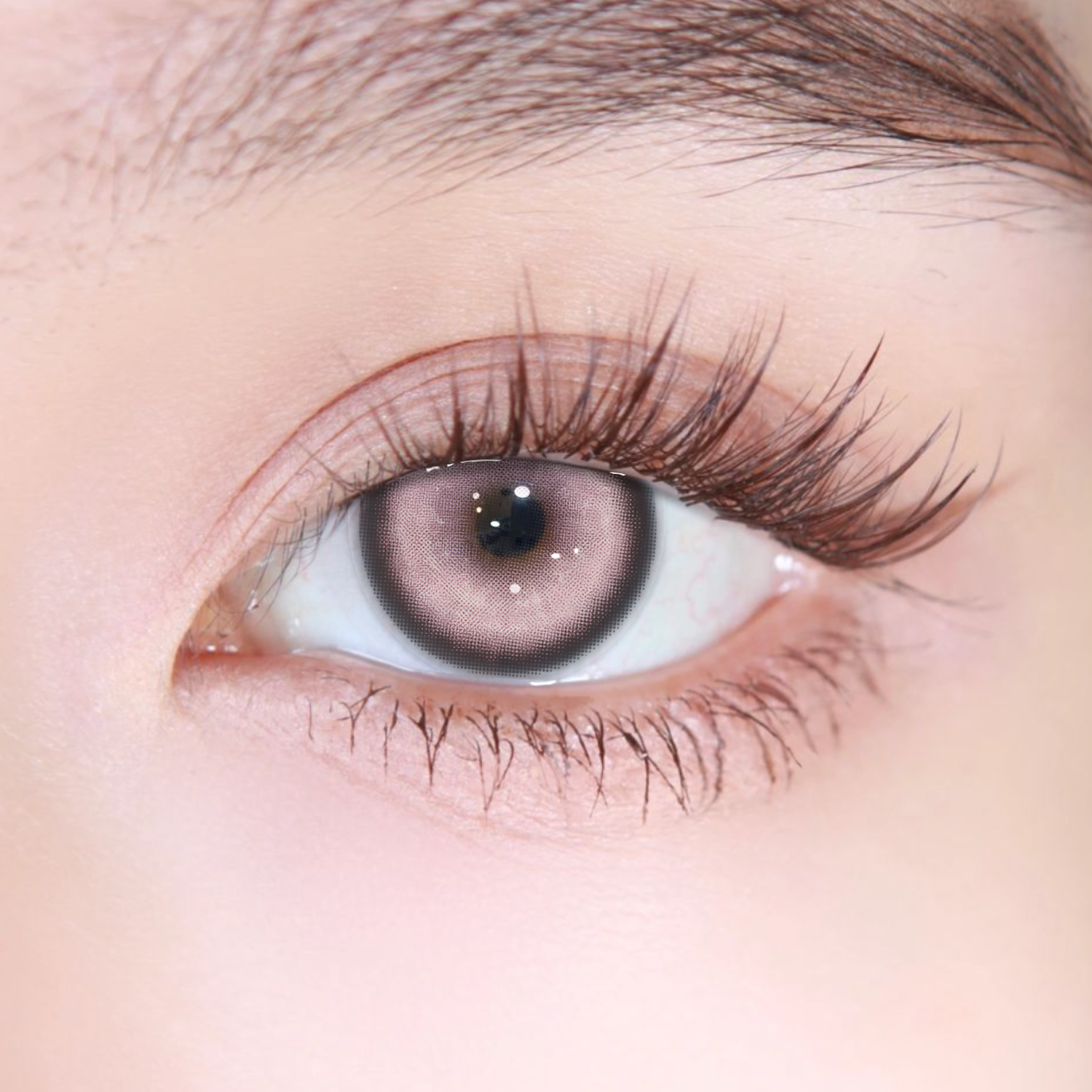 Akiwaii Koi Pink [Yearly]