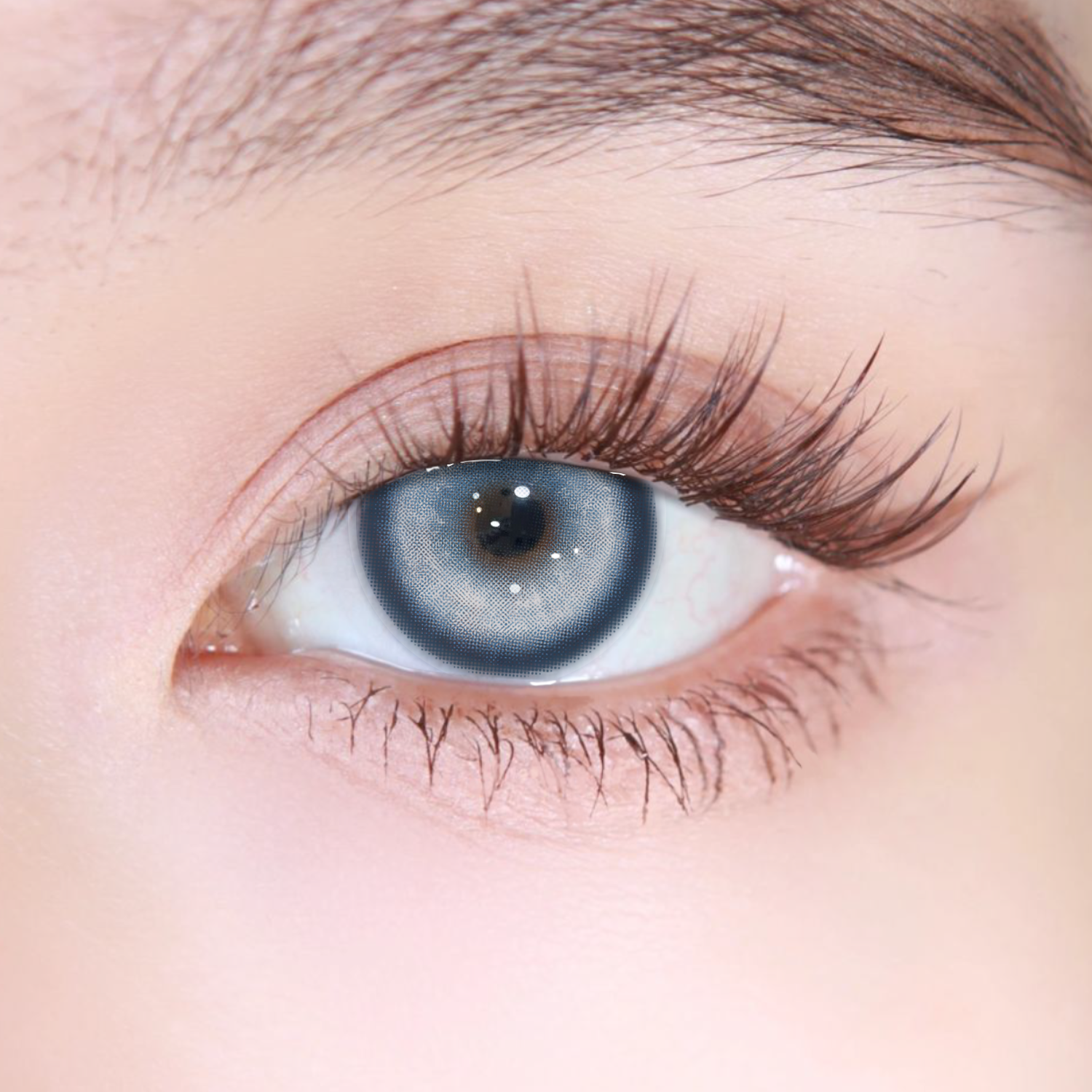 Akiwaii Koi Blue [Daily]