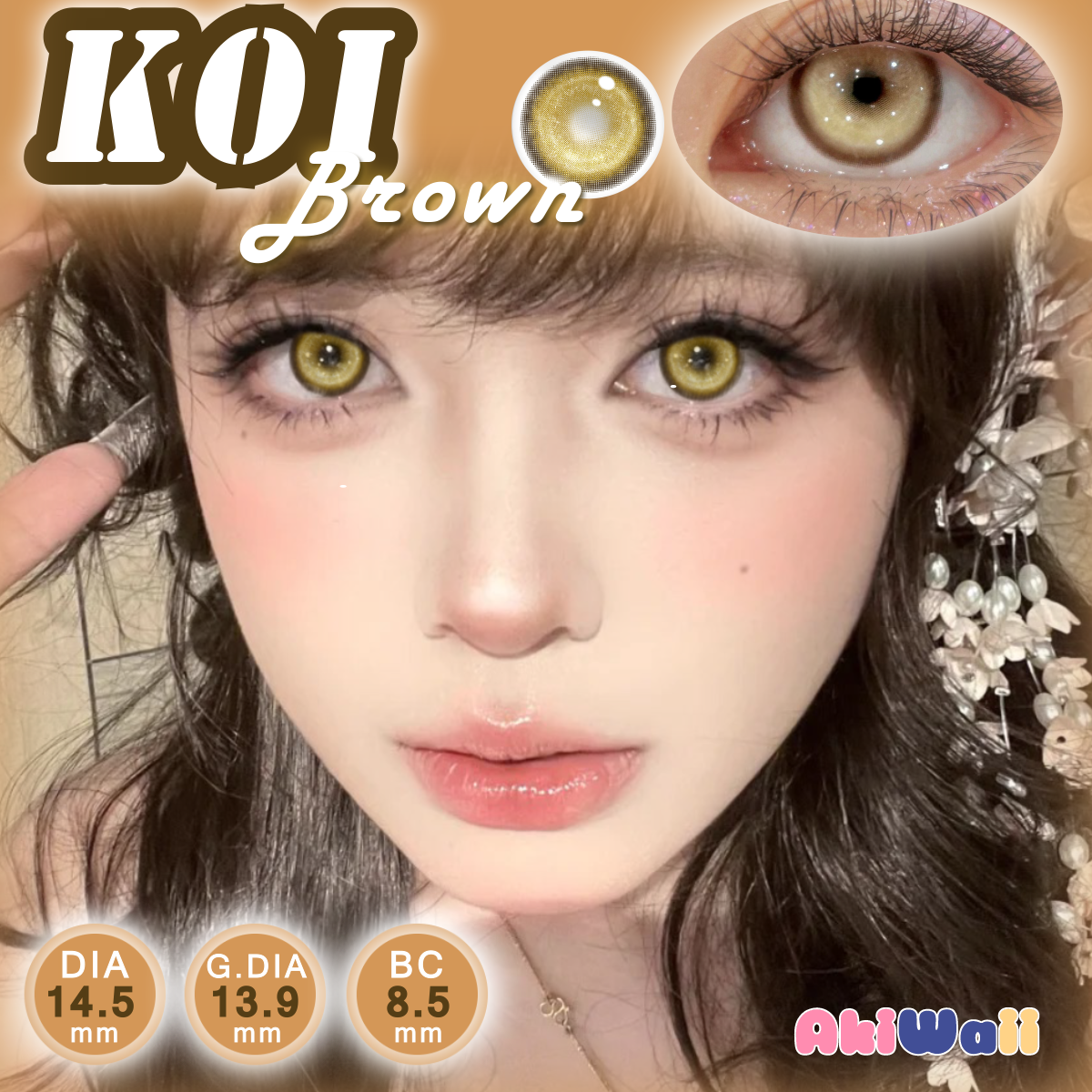 Akiwaii Koi Brown [Yearly]
