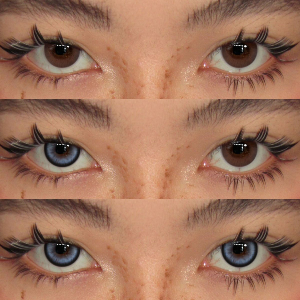 Akiwaii Alixor Blue [Yearly]