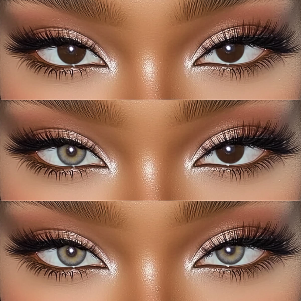 Akiwaii Aloura Brown [Yearly]