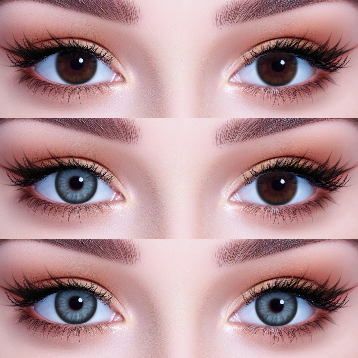 Akiwaii Attraction Blue[Yearly]