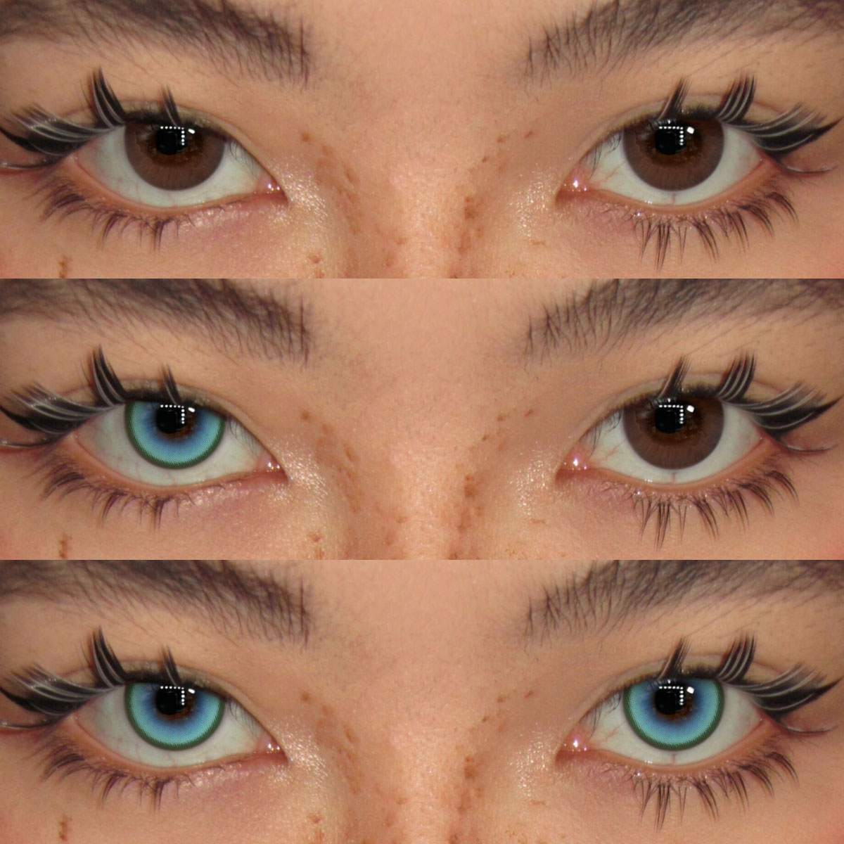 Akiwaii Berris Green[Yearly]