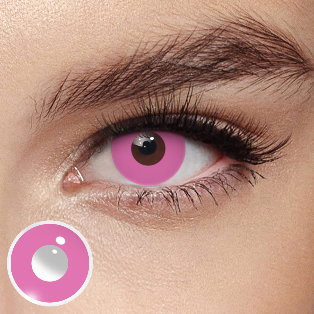 Akiwaii Blank Rose Red [Yearly]