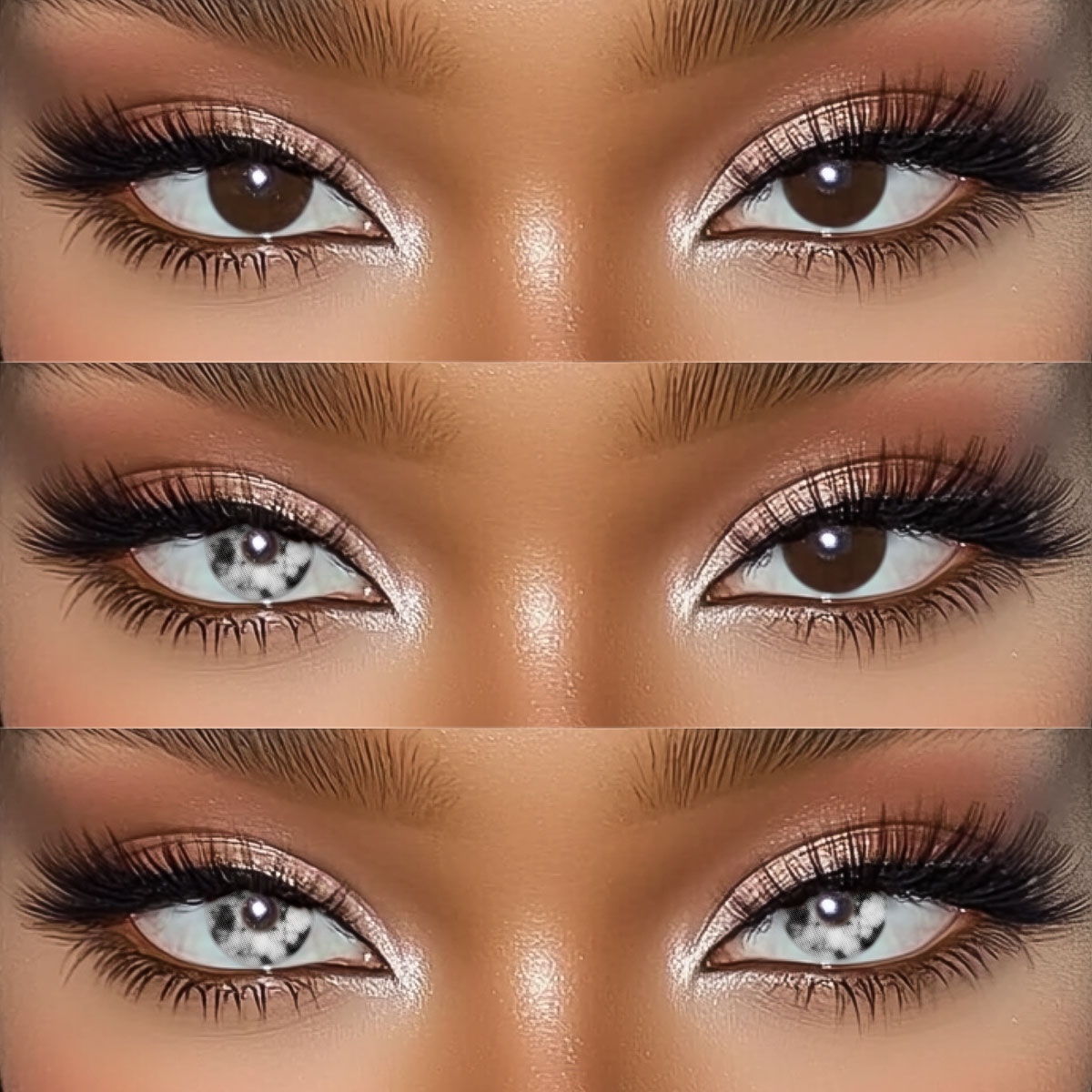 Akiwaii Blood Cell Black [Yearly]