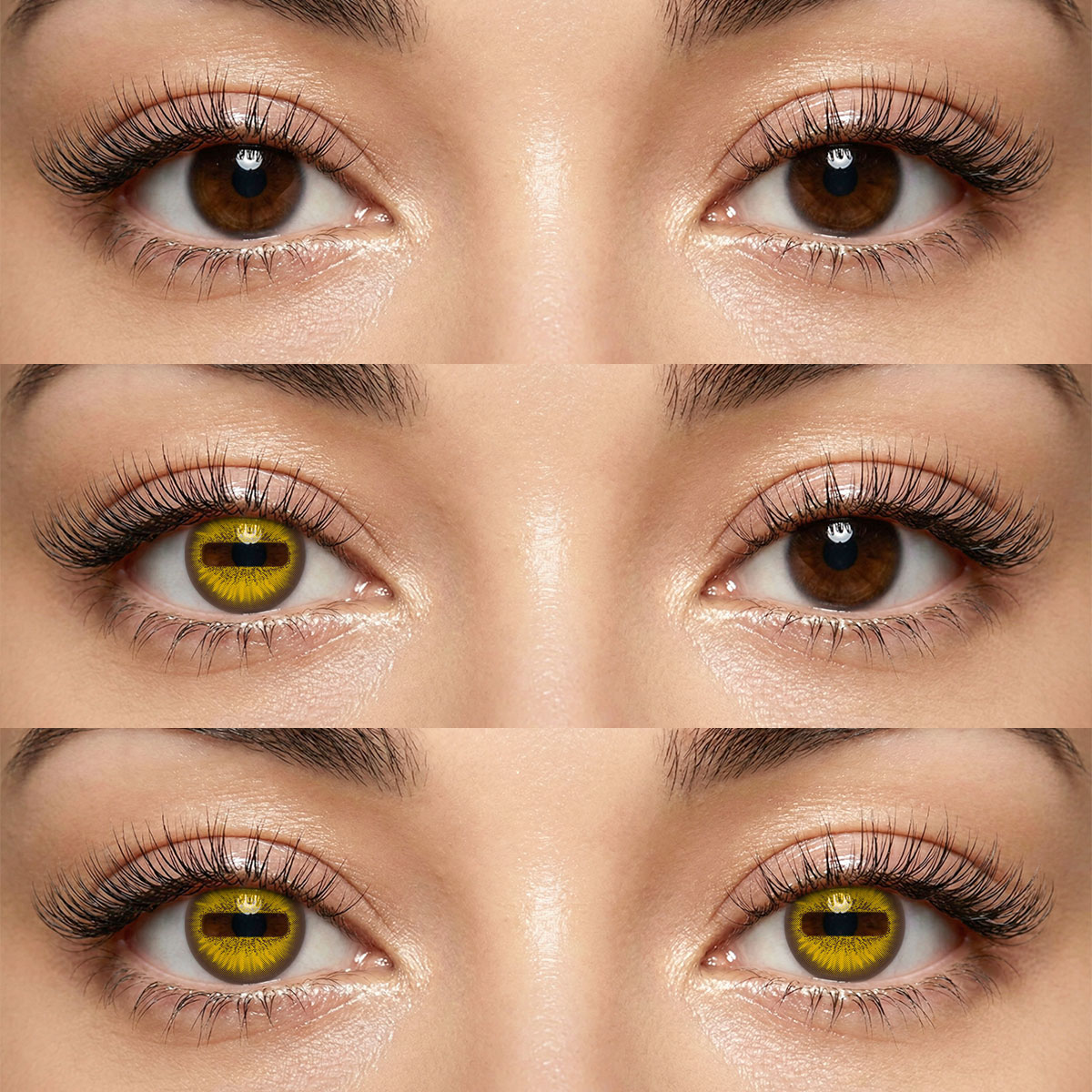 Akiwaii Goat Eye Brown [Yearly]