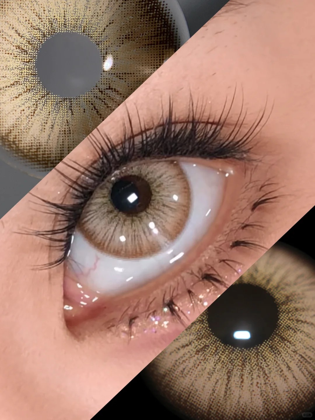 Akiwaii Magic Pop Brown [Yearly]