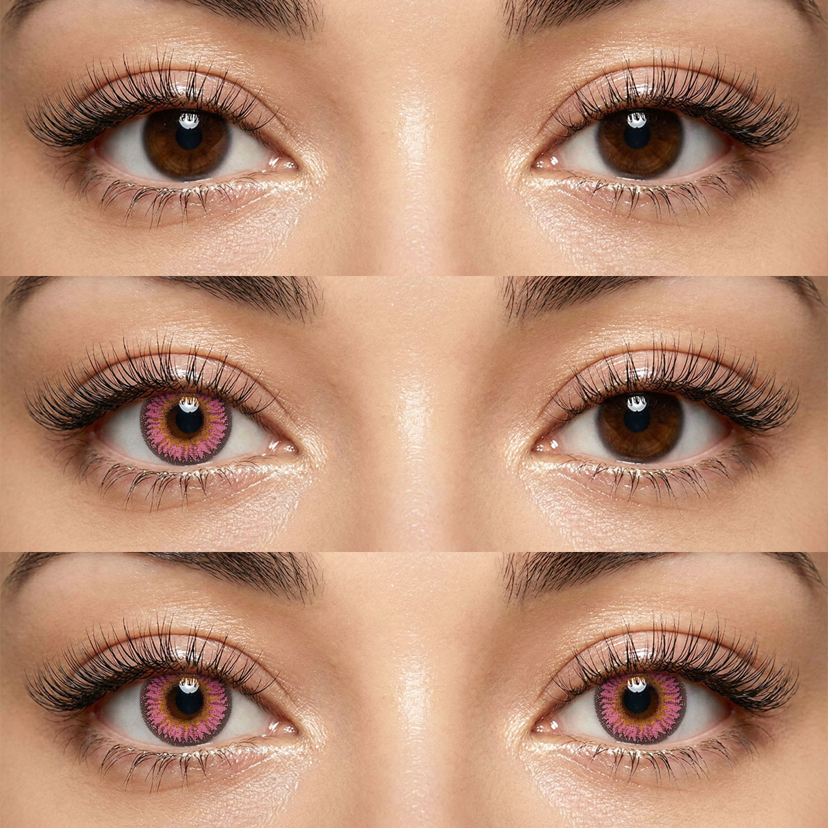 Akiwaii Dodo Pink  [Yearly]