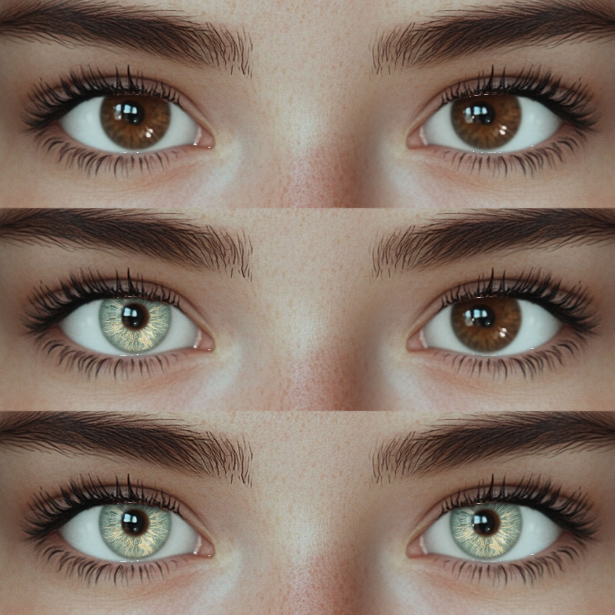 Akiwaii Emberwood Green [Yearly]