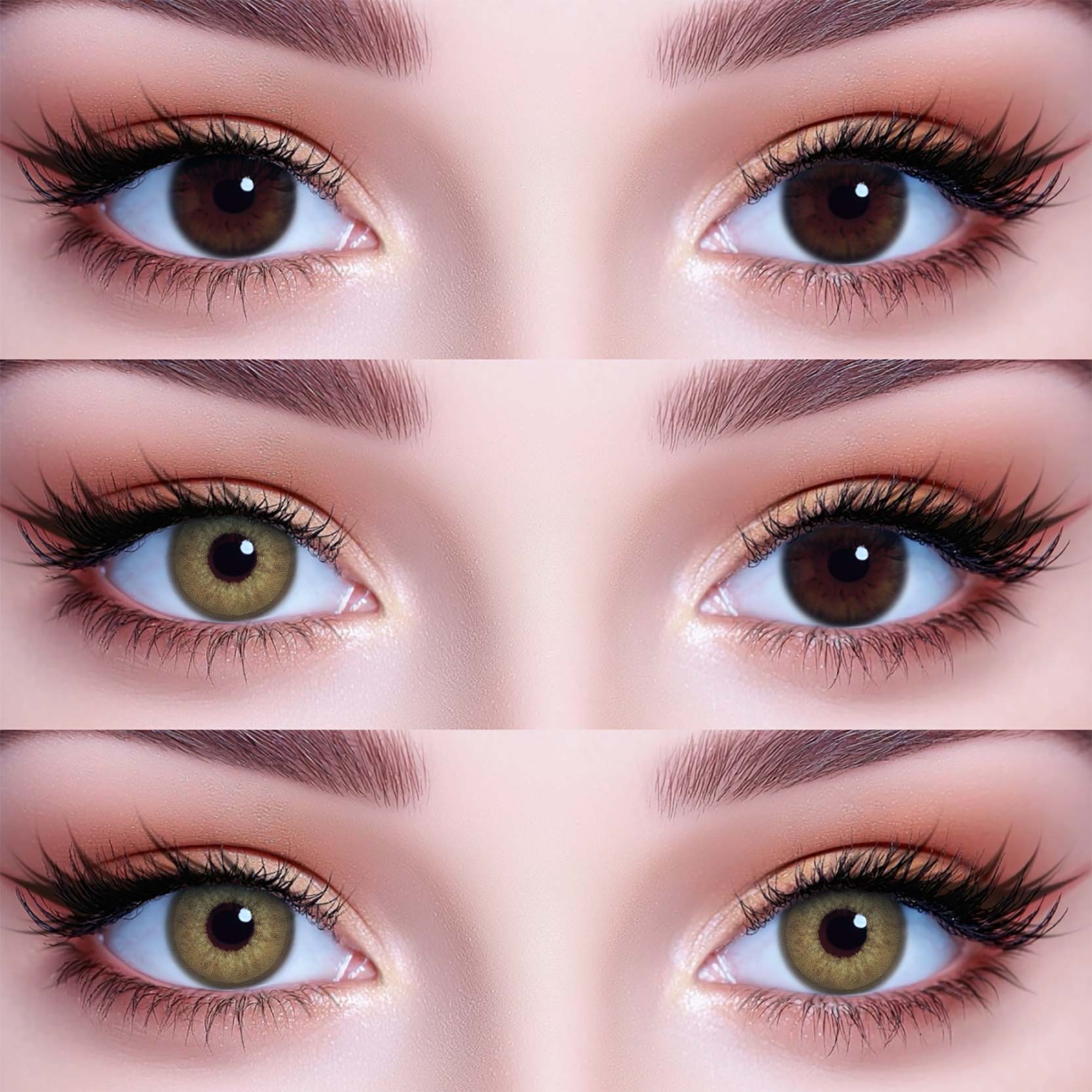 Akiwaii DNA Taylor Brown [Yearly]