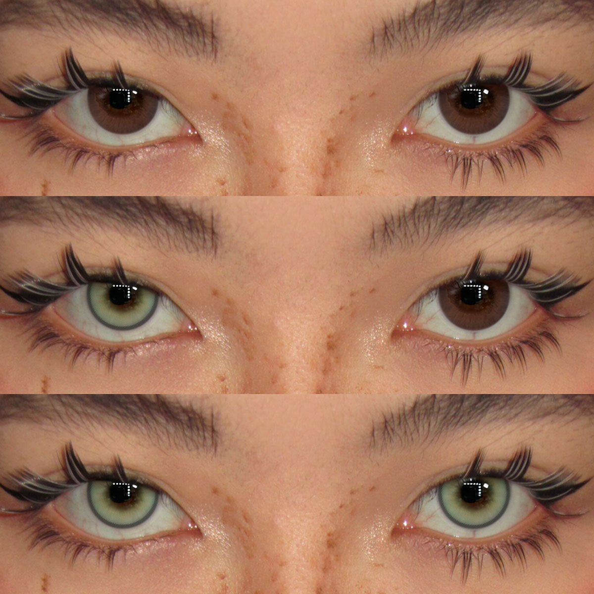 Akiwaii Felis Green[Yearly]