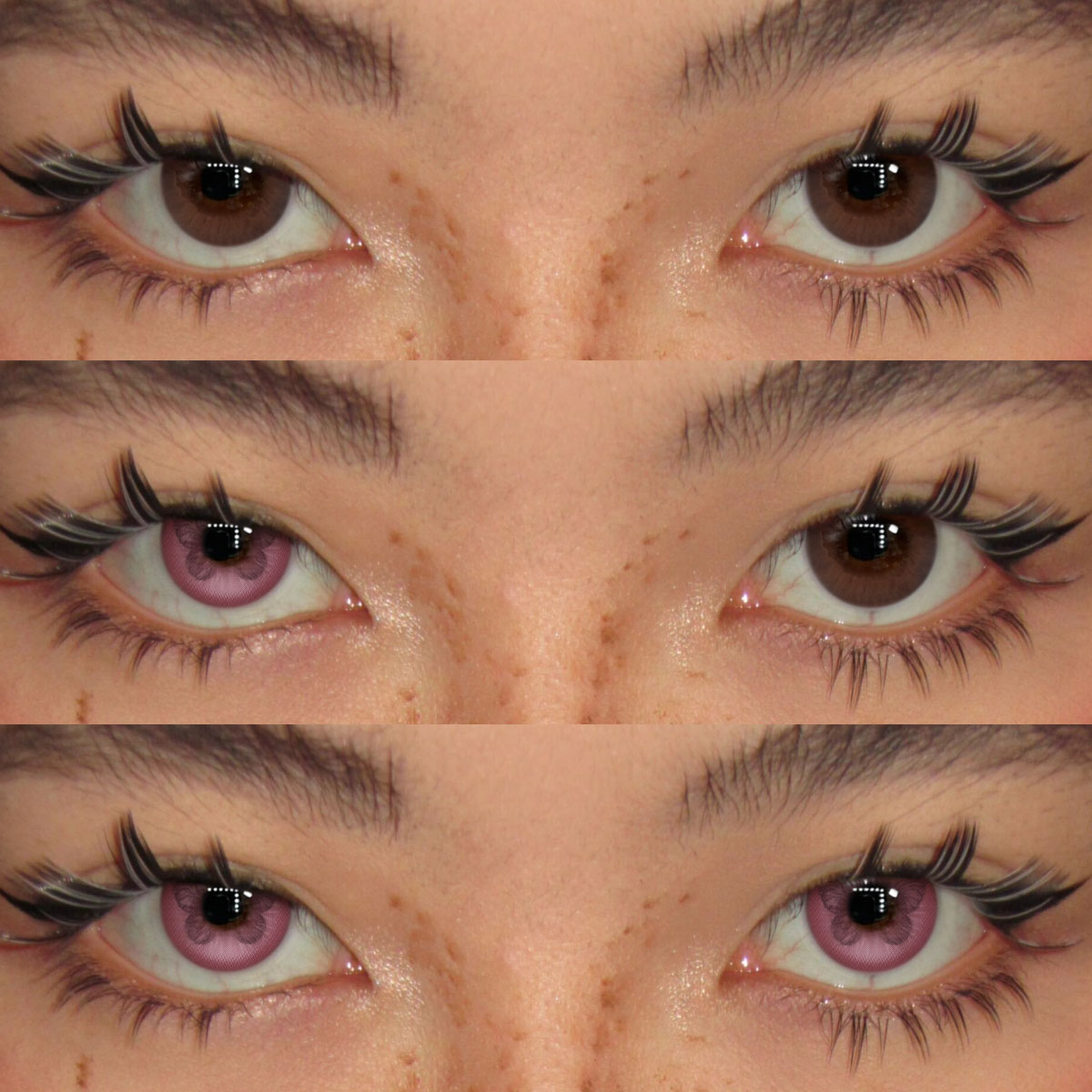 Akiwaii Galaxine Pink [Yearly]