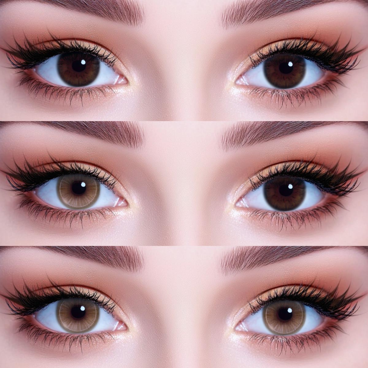 Akiwaii Glowline Brown [Yearly]