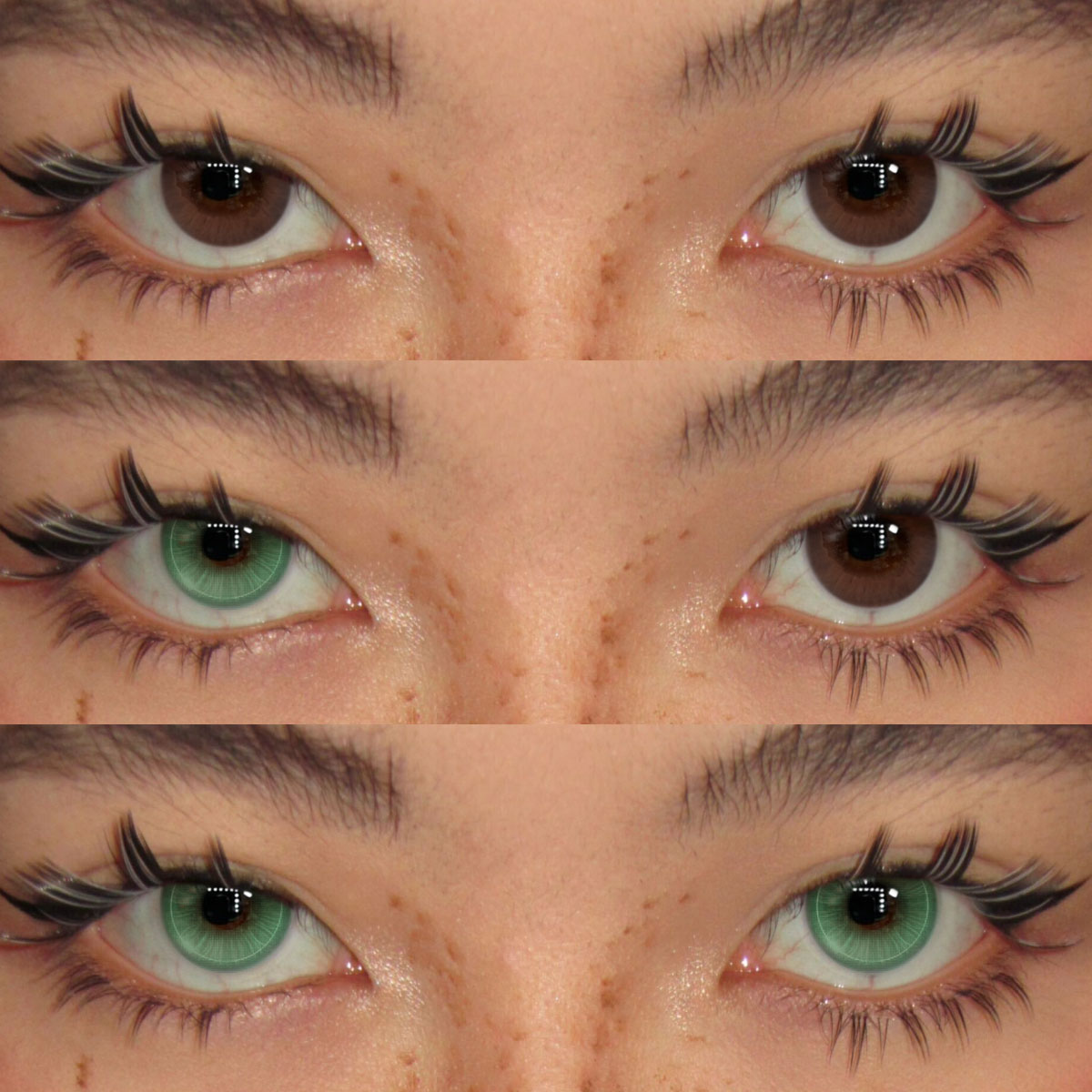 Akiwaii Glowline Green [Yearly]