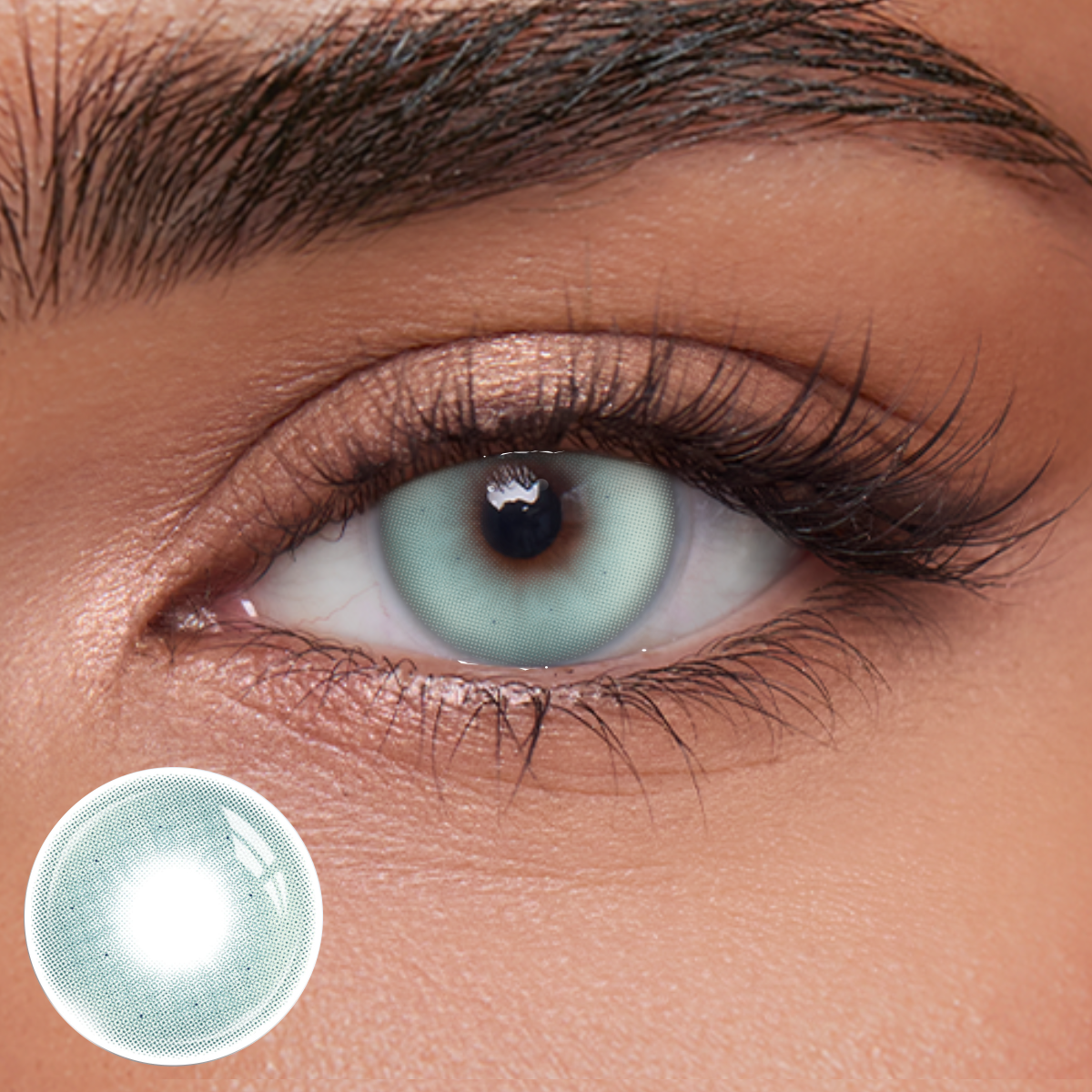 Akiwaii Zeloria Blue [Yearly]