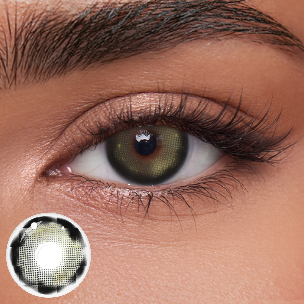 Akiwaii Lyricane Brown [Yearly]