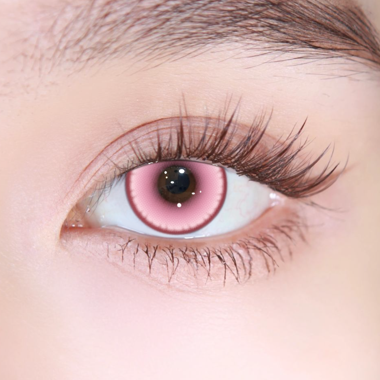 Akiwaii Stargleam Pink [Yearly]