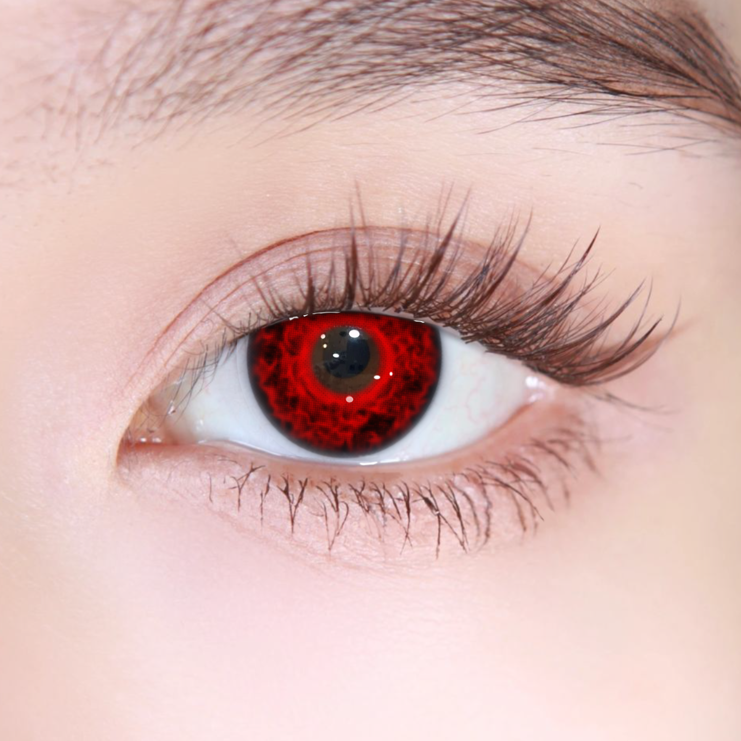 Akiwaii Ebonis Black[Yearly]