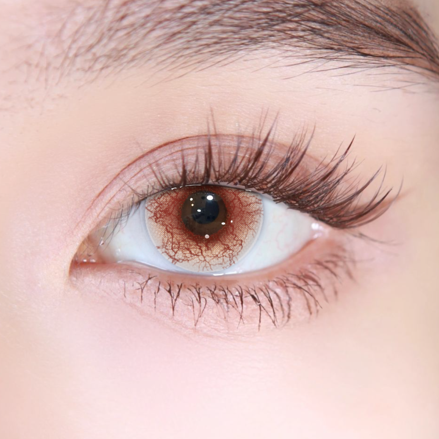 Akiwaii Gildis Brown[Yearly]