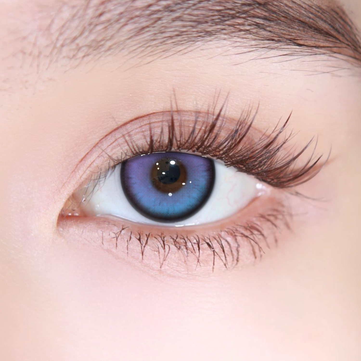 Akiwaii Nightis Purple[6-month-wear]